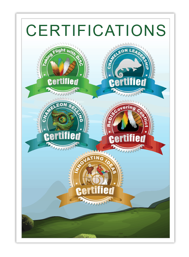 DISC-Certifications-Poster-01 | Team Building Activities, Challenges ...