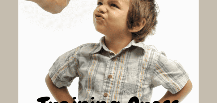 8 Mistakes to Avoid when Training Cross-Functional Teams
